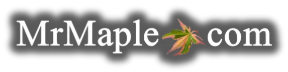 MrMaple